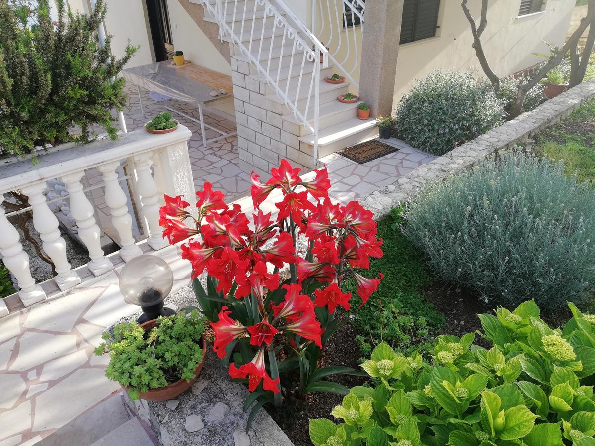 Apartment Cactus Donji Okrug  Buitenkant foto